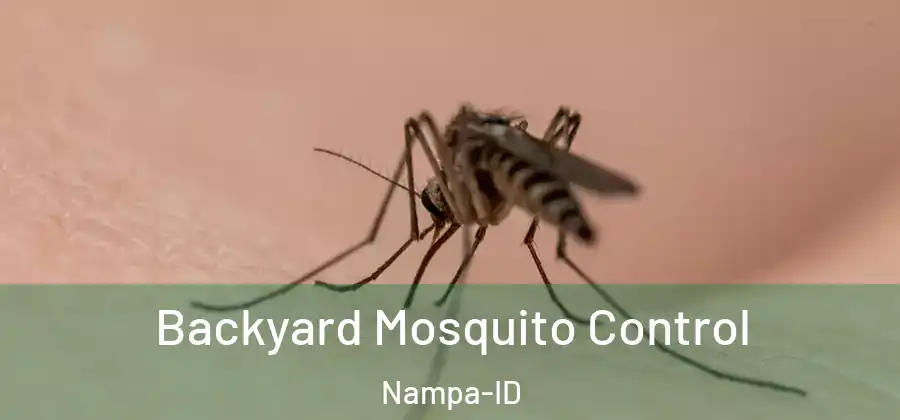 Backyard Mosquito Control Nampa-ID
