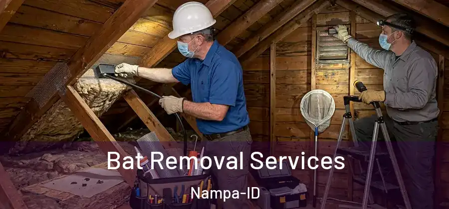 Bat Removal Services Nampa-ID