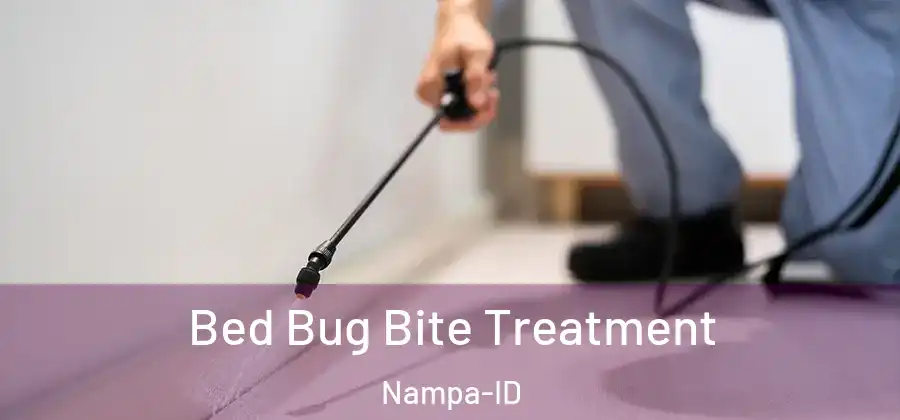 Bed Bug Bite Treatment Nampa-ID
