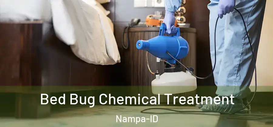  Bed Bug Chemical Treatment Nampa-ID