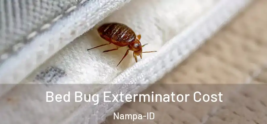  Bed Bug Exterminator Cost Nampa-ID