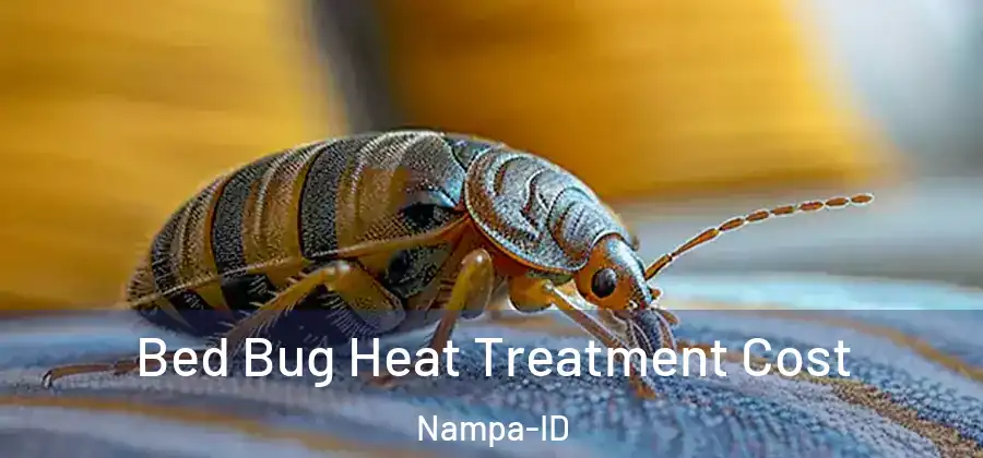 Bed Bug Heat Treatment Cost Nampa-ID