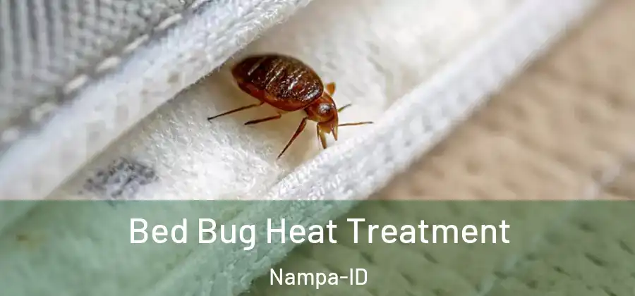  Bed Bug Heat Treatment Nampa-ID