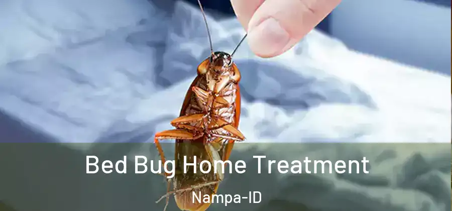 Bed Bug Home Treatment Nampa-ID