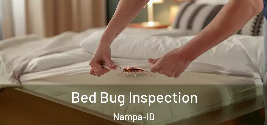  Bed Bug Inspection Nampa-ID