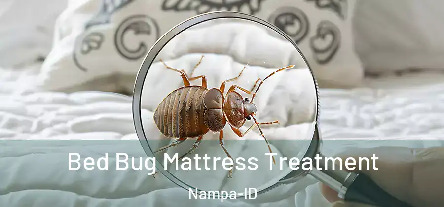Bed Bug Mattress Treatment Nampa-ID