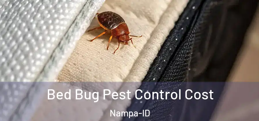 Bed Bug Pest Control Cost Nampa-ID