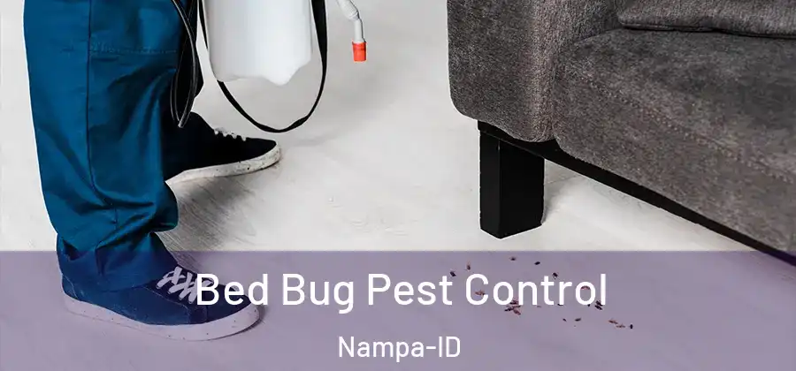  Bed Bug Pest Control Nampa-ID