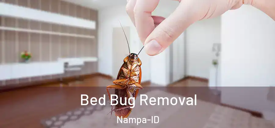 Bed Bug Removal Nampa-ID