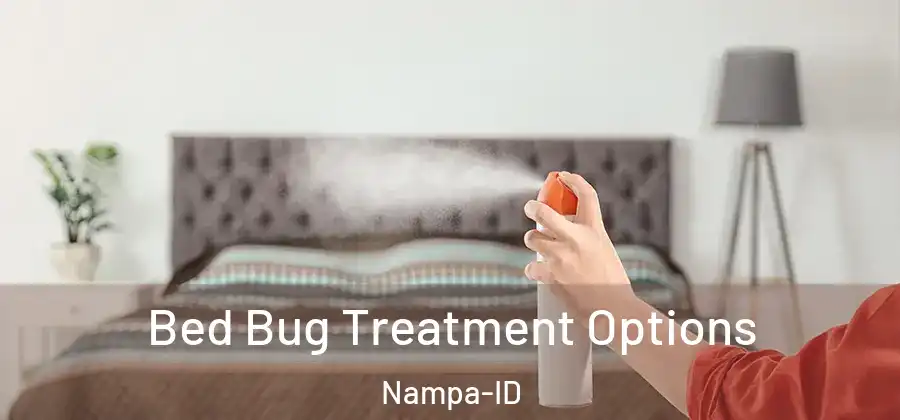  Bed Bug Treatment Options Nampa-ID