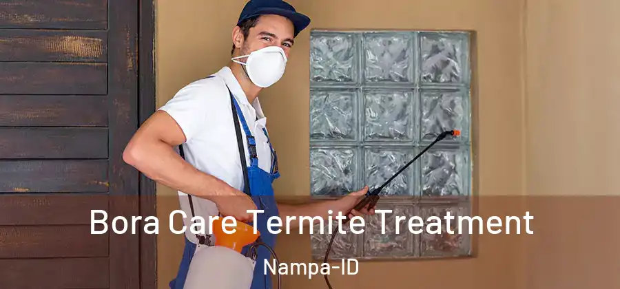 Bora Care Termite Treatment Nampa-ID