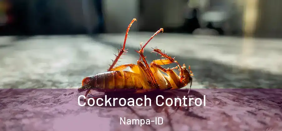  Cockroach Control Nampa-ID