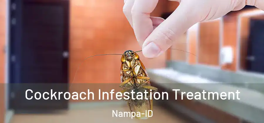 Cockroach Infestation Treatment Nampa-ID