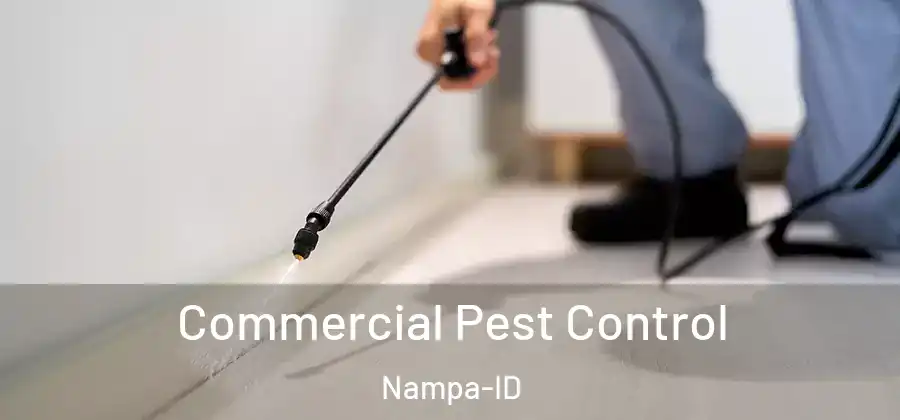  Commercial Pest Control Nampa-ID