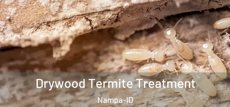 Drywood Termite Treatment Nampa-ID