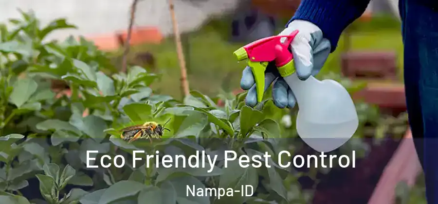  Eco Friendly Pest Control Nampa-ID