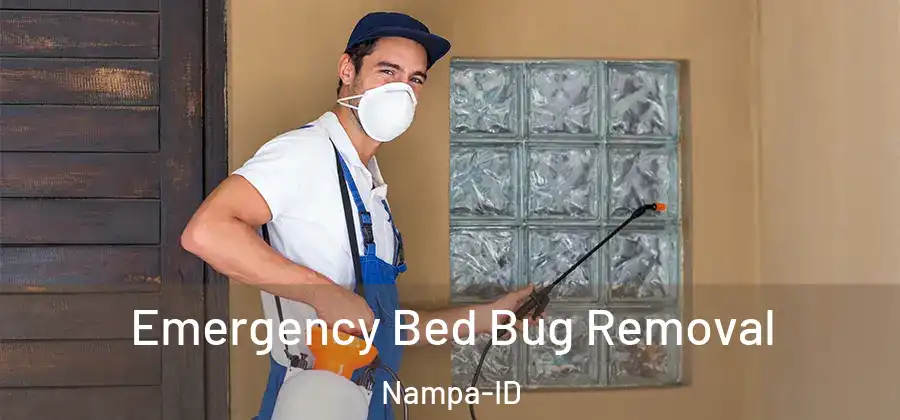 Emergency Bed Bug Removal Nampa-ID