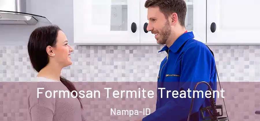 Formosan Termite Treatment Nampa-ID