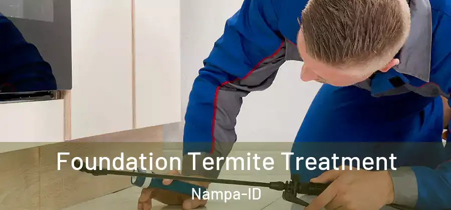 Foundation Termite Treatment Nampa-ID