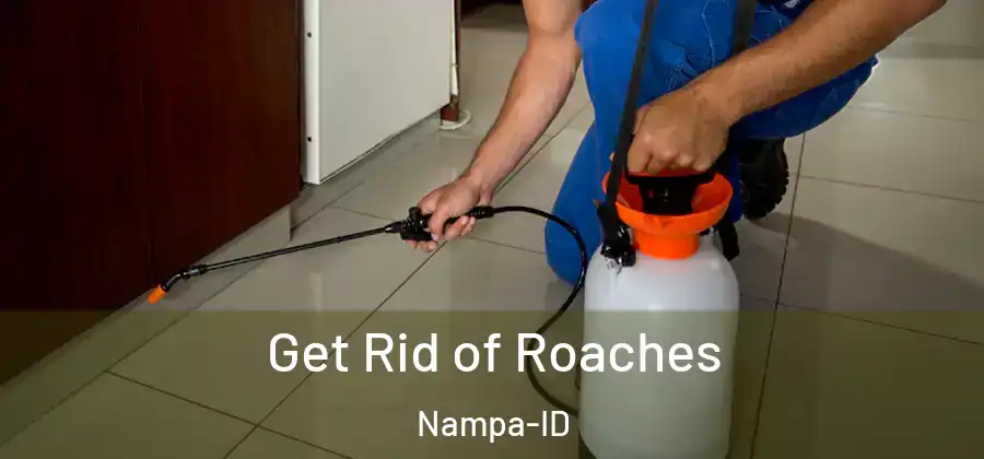 Get Rid of Roaches Nampa-ID