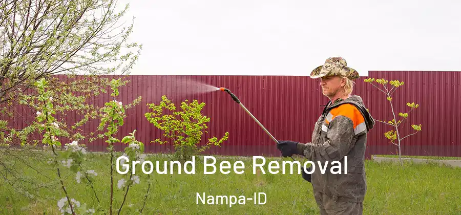 Ground Bee Removal Nampa-ID