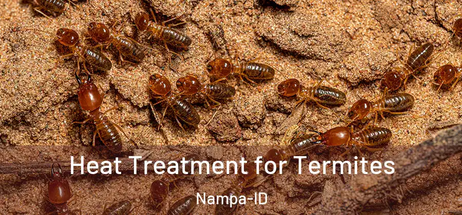 Heat Treatment for Termites Nampa-ID