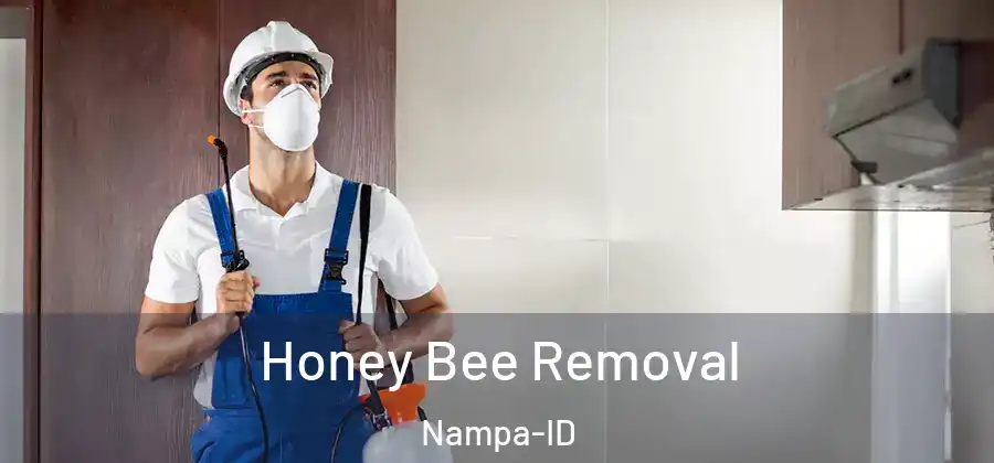 Honey Bee Removal Nampa-ID