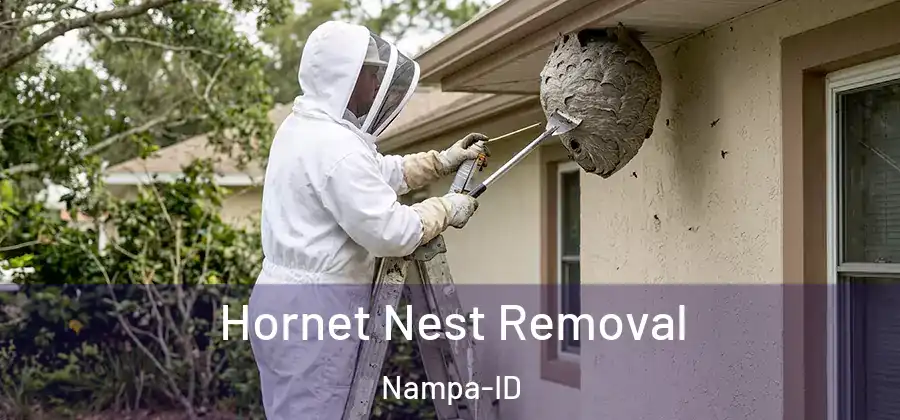 Hornet Nest Removal Nampa-ID