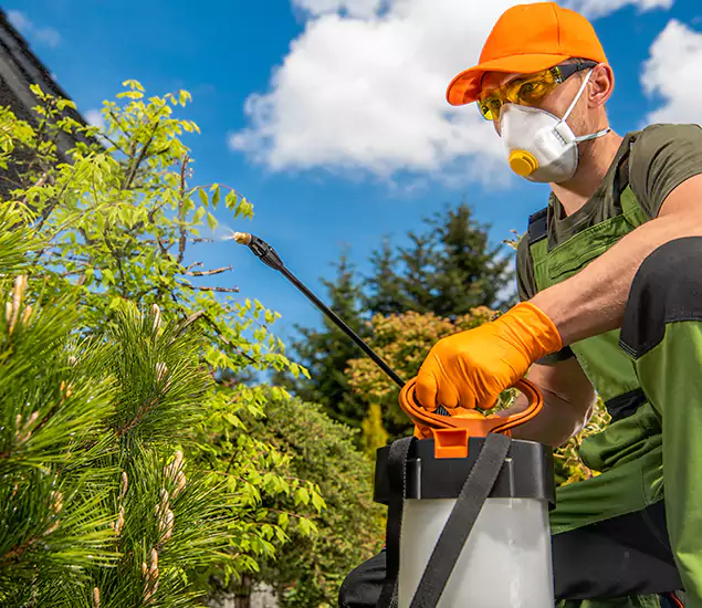 Your Best Bug Spray for Home Team in Nampa, ID