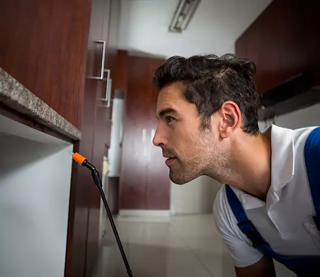Termite Inspection Cost Experts You Can Trust in Nampa, ID