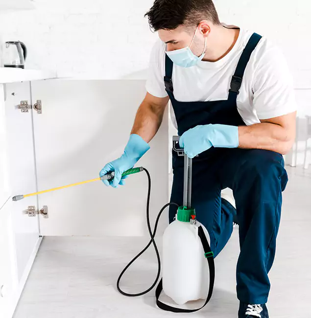 Why Nampa, ID Homeowners Trust Us for German Roach Control?