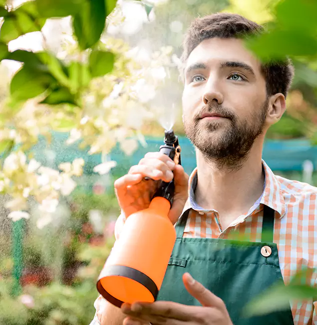 Why Nampa Pest Control Pro Is the Best Mosquito Control Company in Nampa, ID?