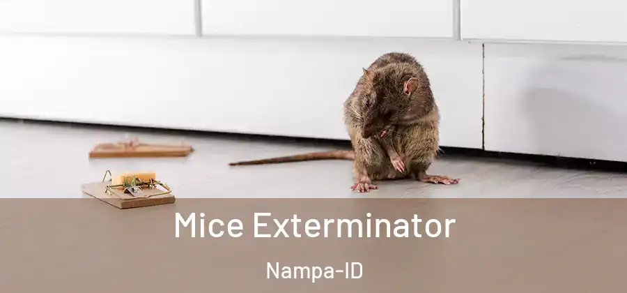Mice Exterminator Nampa-ID
