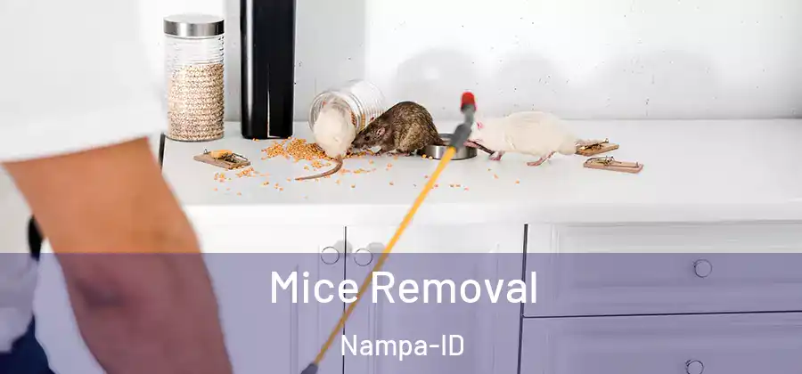 Mice Removal Nampa-ID