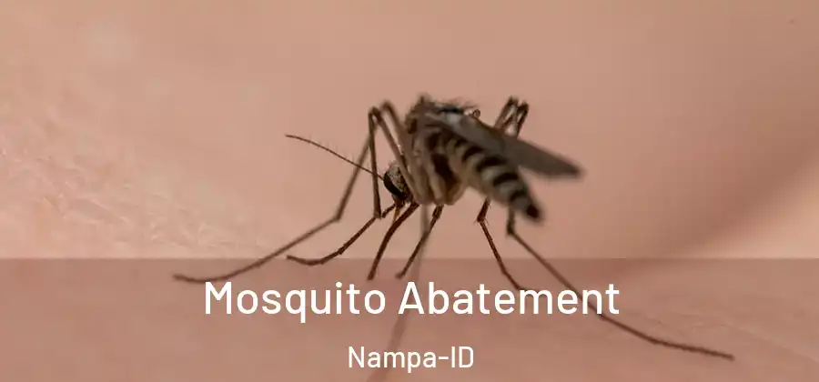 Mosquito Abatement Nampa-ID