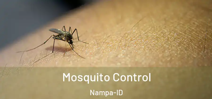 Mosquito Control Nampa-ID
