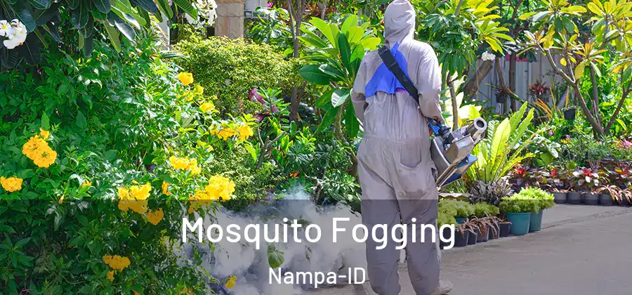  Mosquito Fogging Nampa-ID