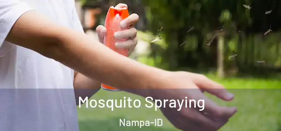 Mosquito Spraying Nampa-ID