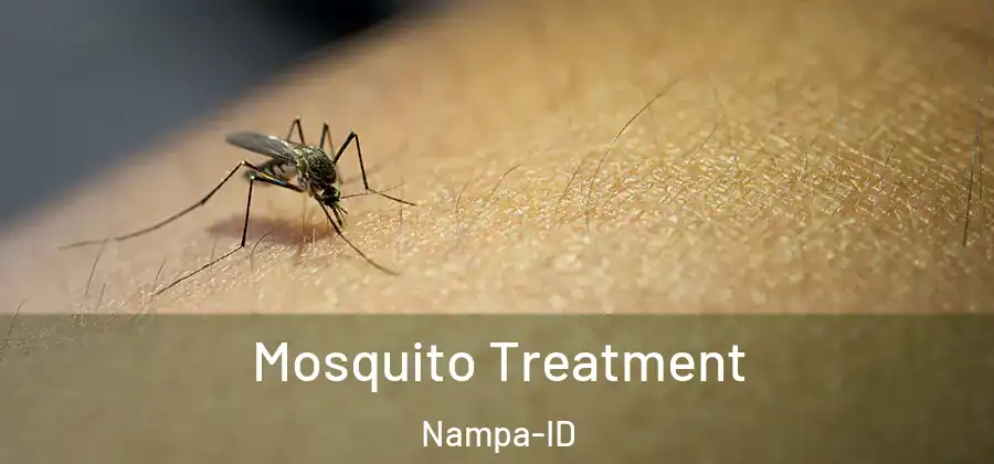  Mosquito Treatment Nampa-ID