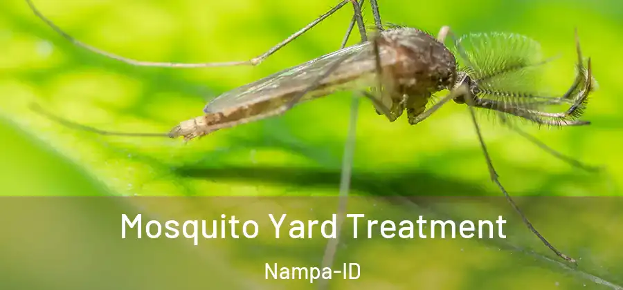 Mosquito Yard Treatment Nampa-ID