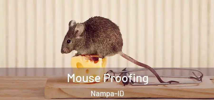 Mouse Proofing Nampa-ID