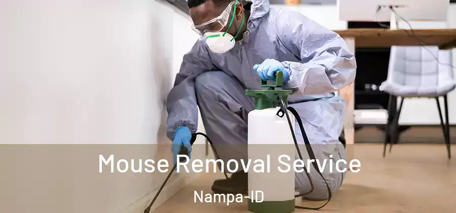  Mouse Removal Service Nampa-ID