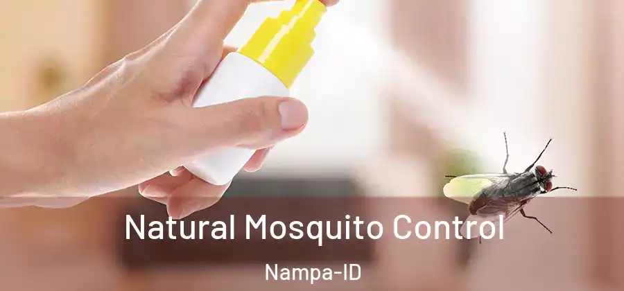 Natural Mosquito Control Nampa-ID