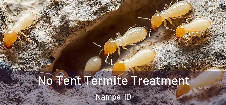 No Tent Termite Treatment Nampa-ID