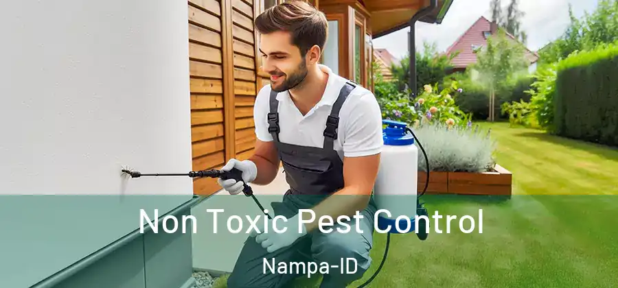 Non Toxic Pest Control Nampa-ID
