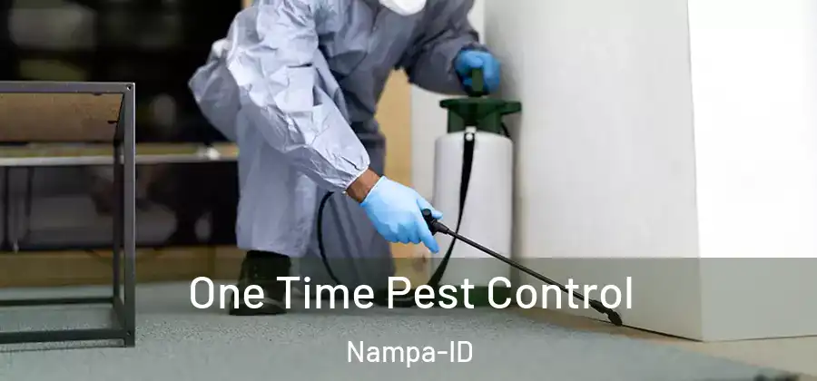 One Time Pest Control Nampa-ID