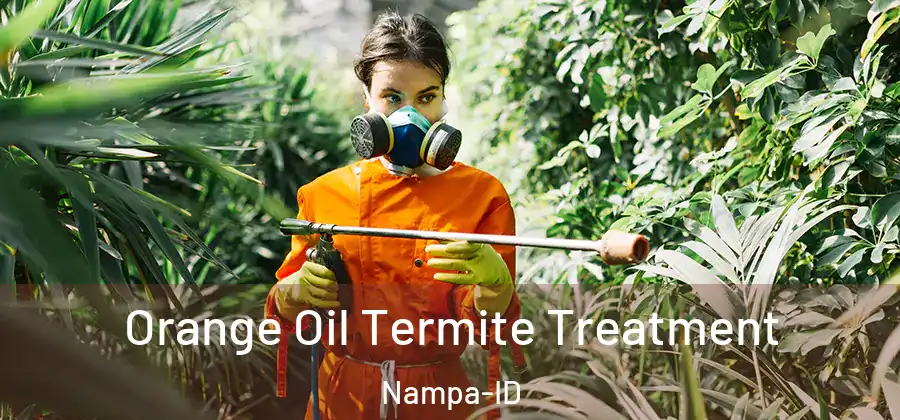 Orange Oil Termite Treatment Nampa-ID