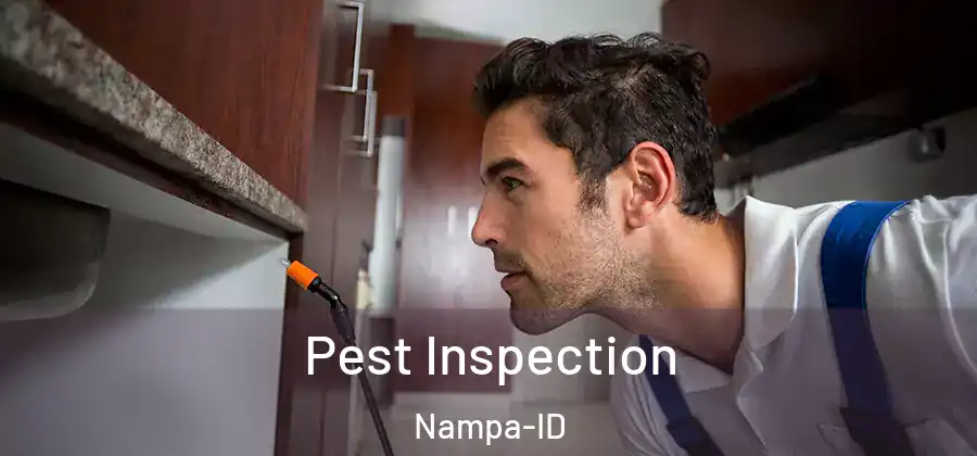  Pest Inspection Nampa-ID