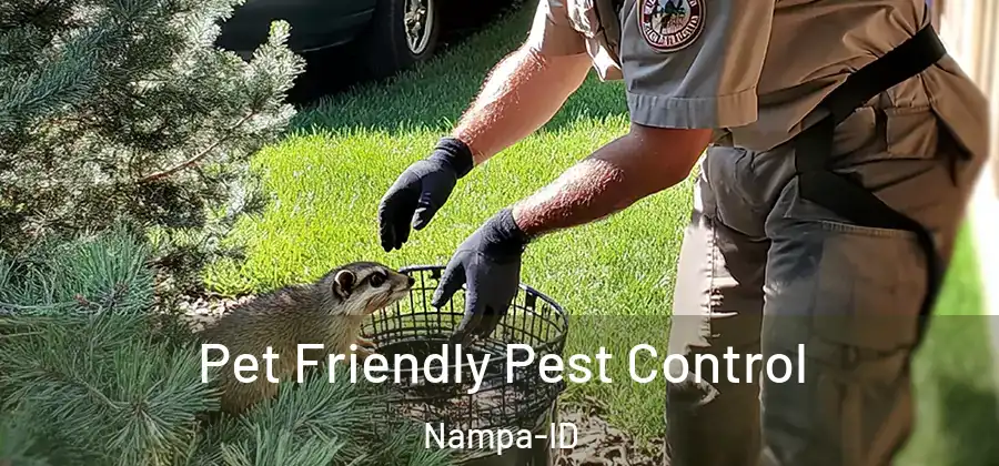  Pet Friendly Pest Control Nampa-ID