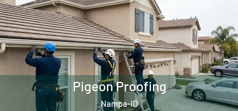  Pigeon Proofing Nampa-ID
